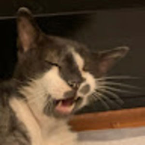 Meet your Posher, Nitalya